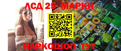 гидропоника Аша
