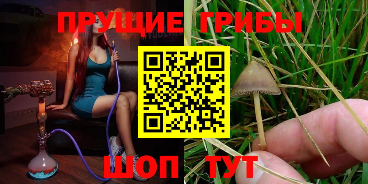 Великий Устюг  Псилоцибиновые грибы мухоморы  Вход с VPN 